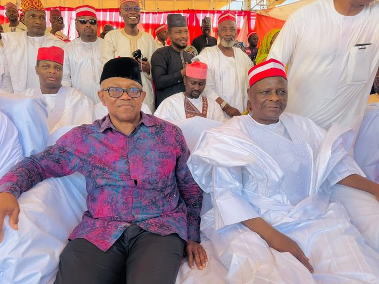 2027: NDC gives Obi, Kwankwaso say on key campaign council appointments