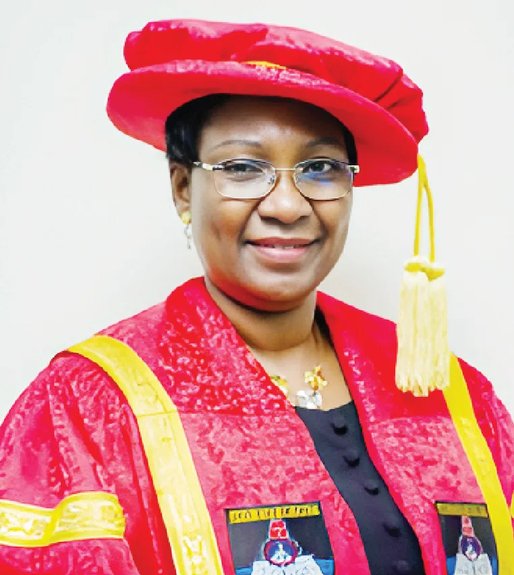 Universities must rethink funding to remain sustainable – ex-LASU VC