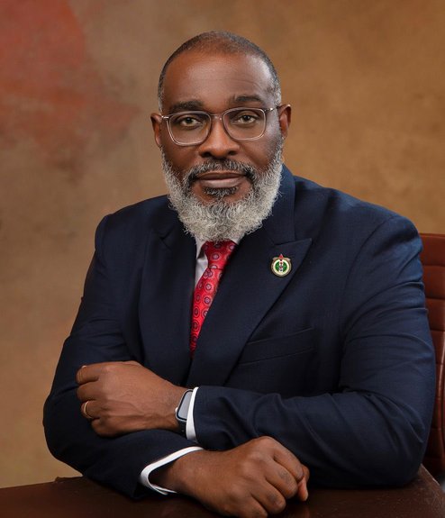 Tinubu Appoints Retired General Adeyinka Fadewa as Homeland Security Adviser