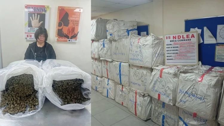 NDLEA Arrests 63-Year-Old Chinese Woman Over Drug Smuggling at Lagos Airport Excerpt: