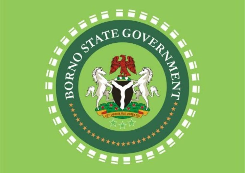Borno Government Says 360 Abductees Rescued by Military Operation, Not Ransom Payment